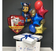 Коробка з кульками Цуценя Чейз