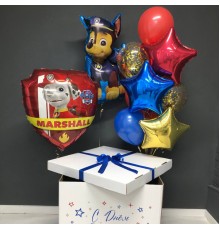 Коробка з кульками Цуценя Чейз